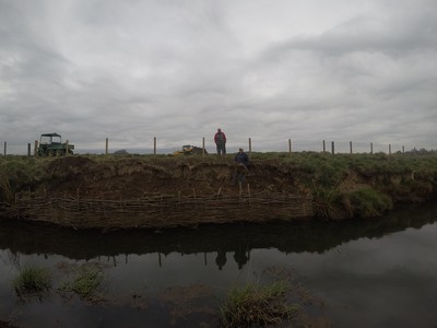 Willow Weave and Wild Flower Bank Repair